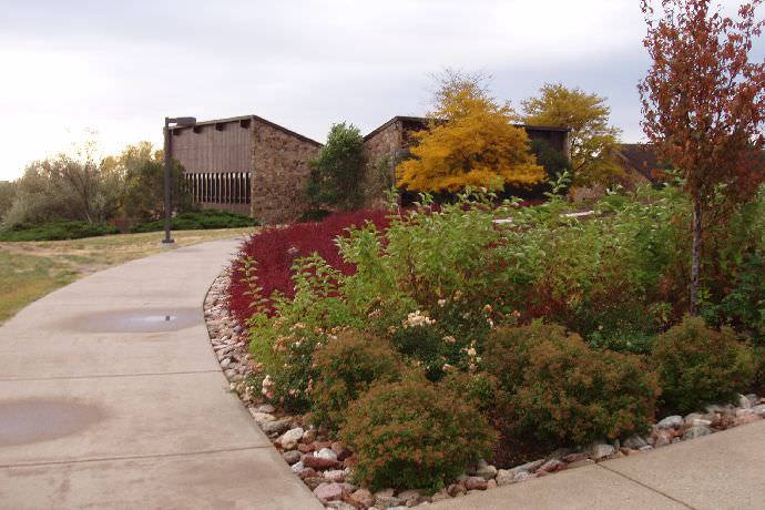 The campus during mid fall.