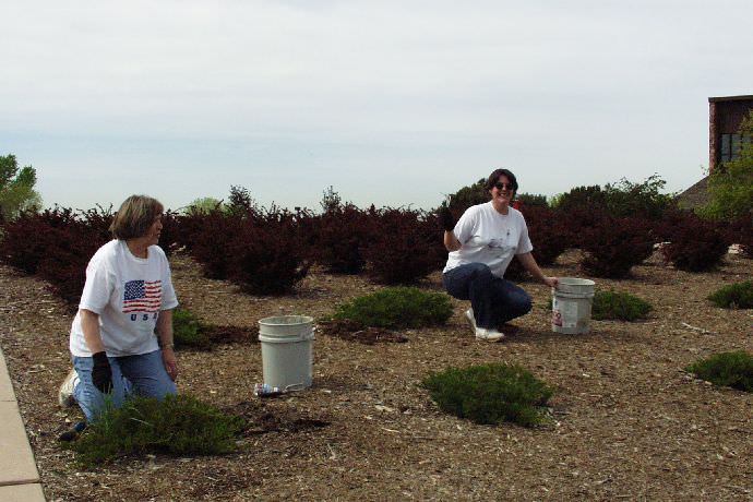 Students cleaning the grounds in the center of the campus.