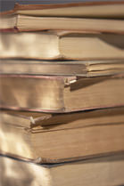 Bible and Theology